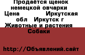 Продаётся щенок немецкой овчарки › Цена ­ 10 000 - Иркутская обл., Иркутск г. Животные и растения » Собаки   